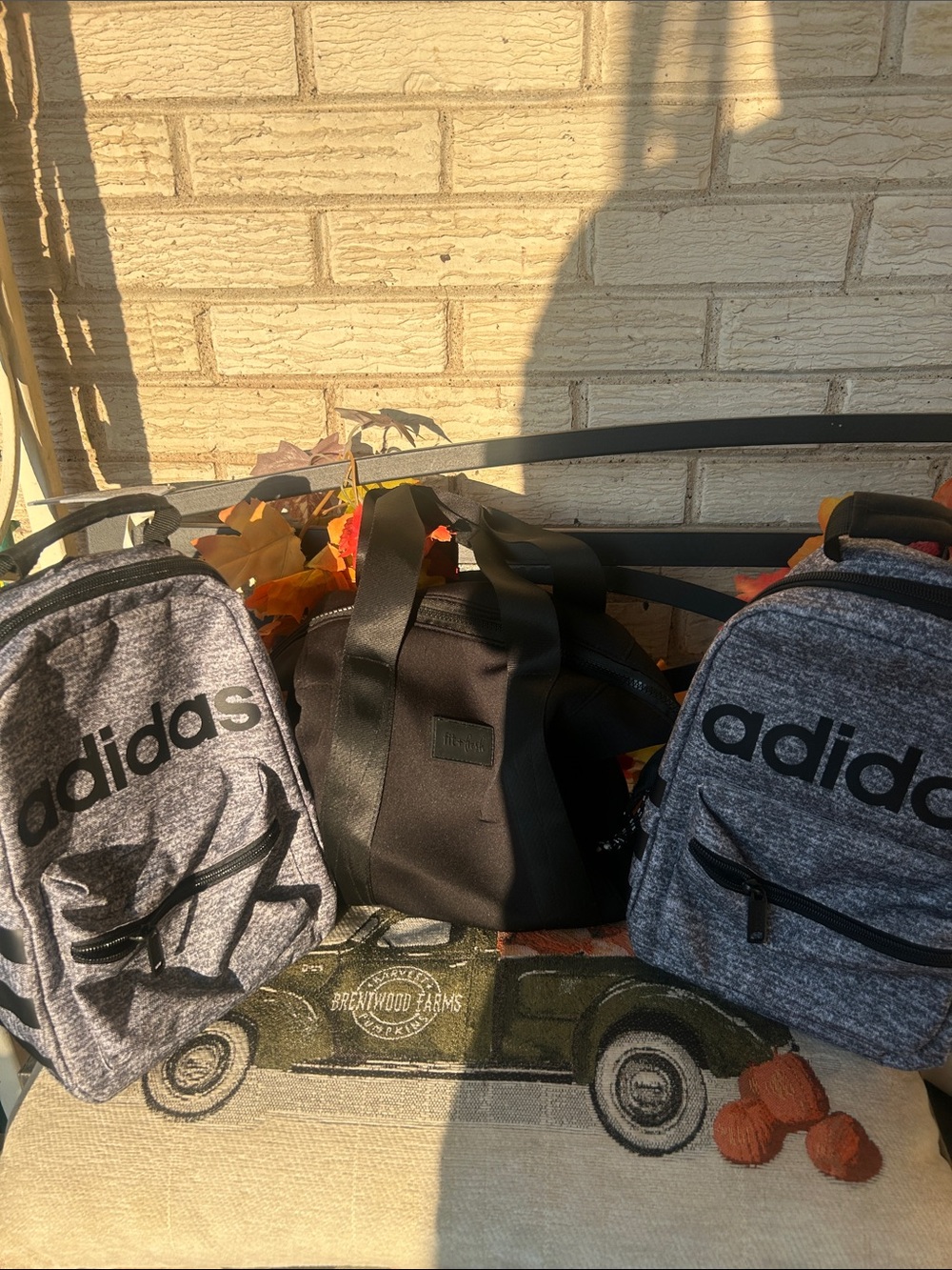 2 adidas Grey and Black lunchbox with Black Carry lunchbox fit n fresh Bag
